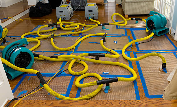 Professional Emergency Water Removal technician working in Lehigh, IA